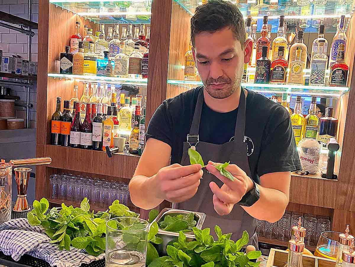 bartender with herbs